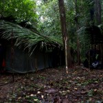 campamento-selva